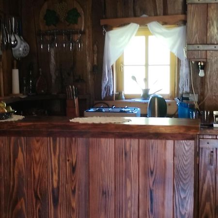 Vacation House Spiritus Flumine Netretic 外观 照片
